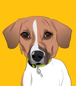 Digital pet caricature drawing of dog in cartoon style
